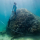 Una cinta métrica colgada alrededor del coral gigante.